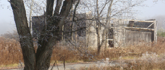 OLD BARN iIN RUIN